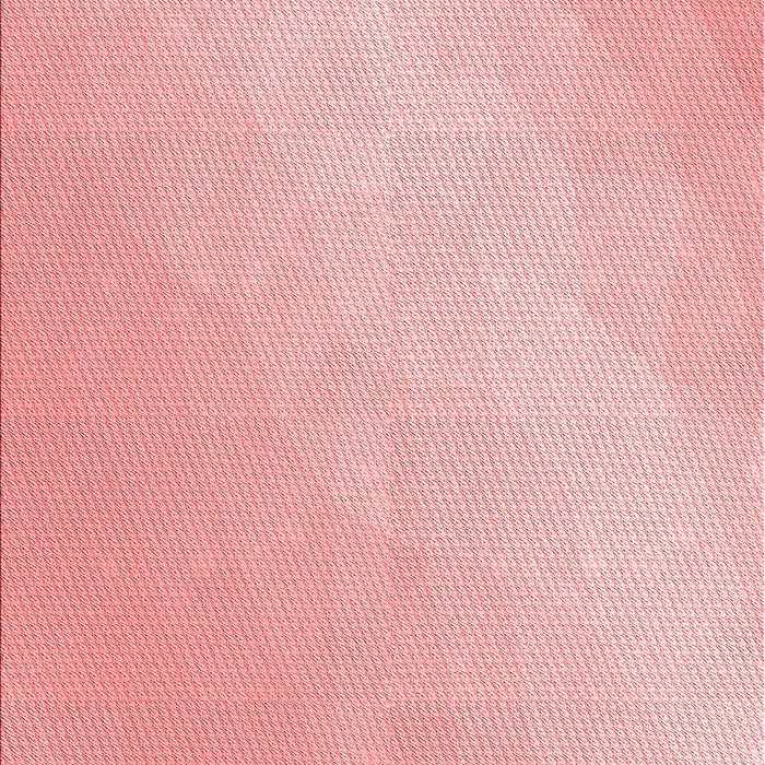 Machine Washable Transitional Red Rug, wshpat3901rd