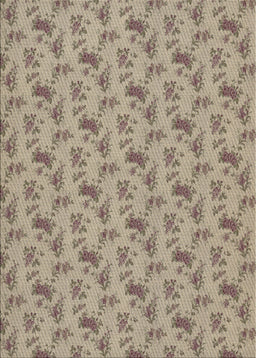 Machine Washable Transitional Brown Rug, wshpat3904