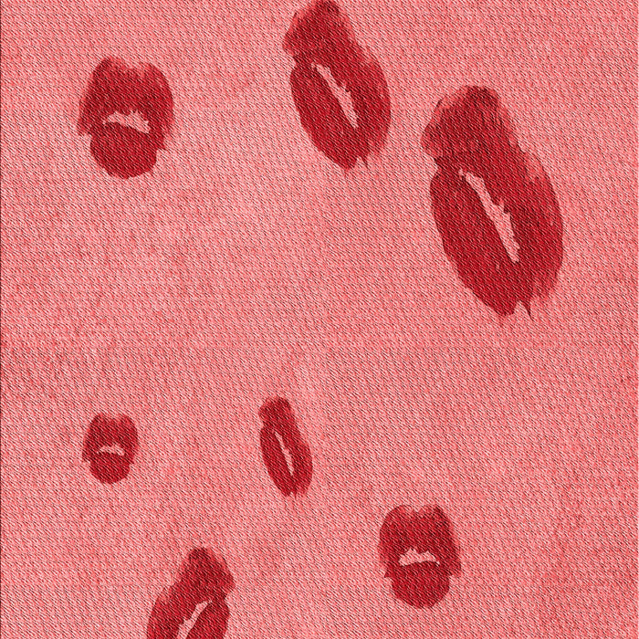 Machine Washable Transitional Fire Red Rug, wshpat3907rd