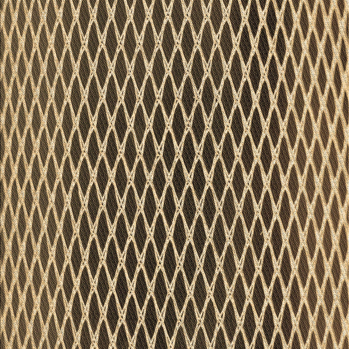 Machine Washable Transitional Brown Sand Brown Rug, wshpat3908brn