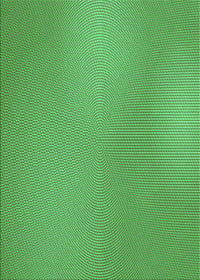 Machine Washable Transitional Green Rug, wshpat3910grn