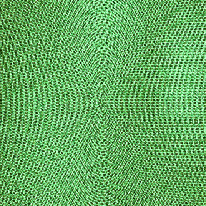 Machine Washable Transitional Green Rug, wshpat3910grn