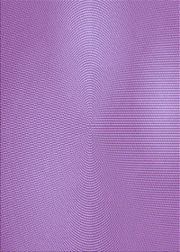 Machine Washable Transitional Dark Orchid Purple Rug, wshpat3910pur