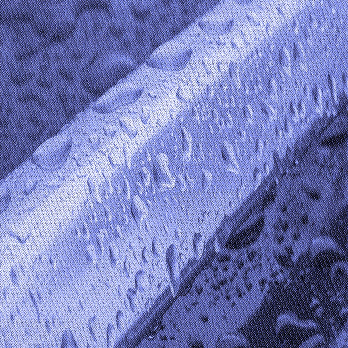 Patterned Sky Blue Rug, pat3911blu