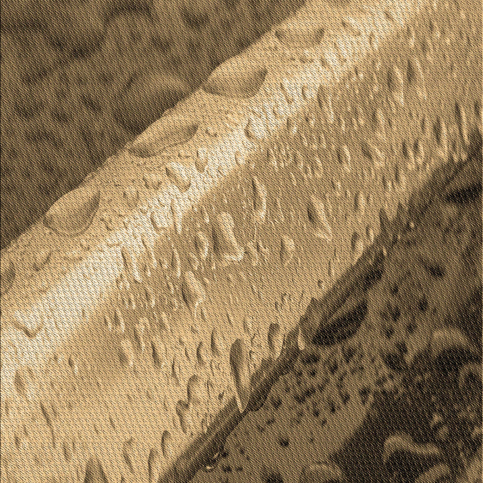 Patterned Metallic Gold Rug, pat3911brn