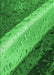 Patterned Green Rug, pat3911grn
