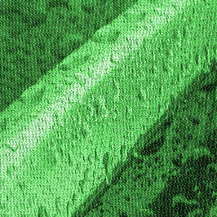 Patterned Green Rug, pat3911grn