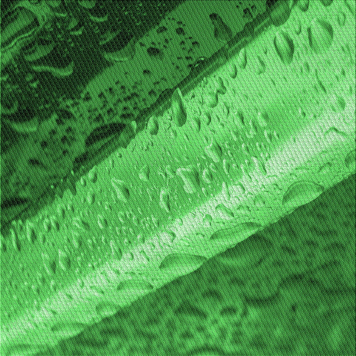 Round Patterned Green Rug, pat3911grn