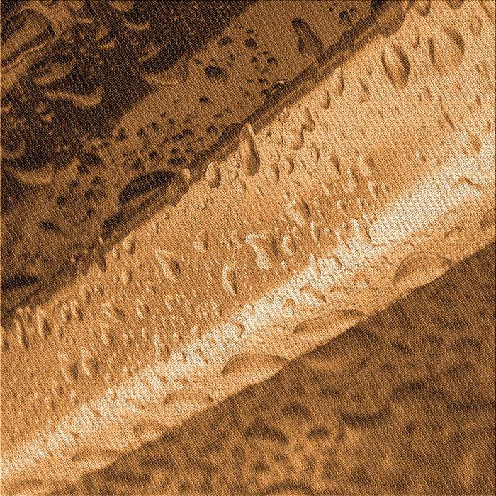 Round Patterned Saddle Brown Rug, pat3911org