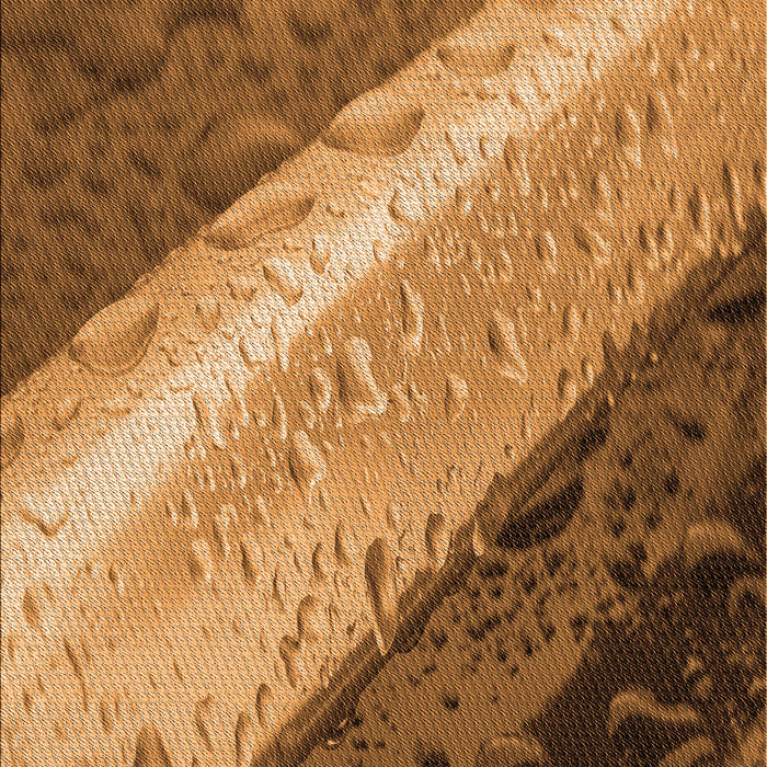 Patterned Saddle Brown Rug, pat3911org