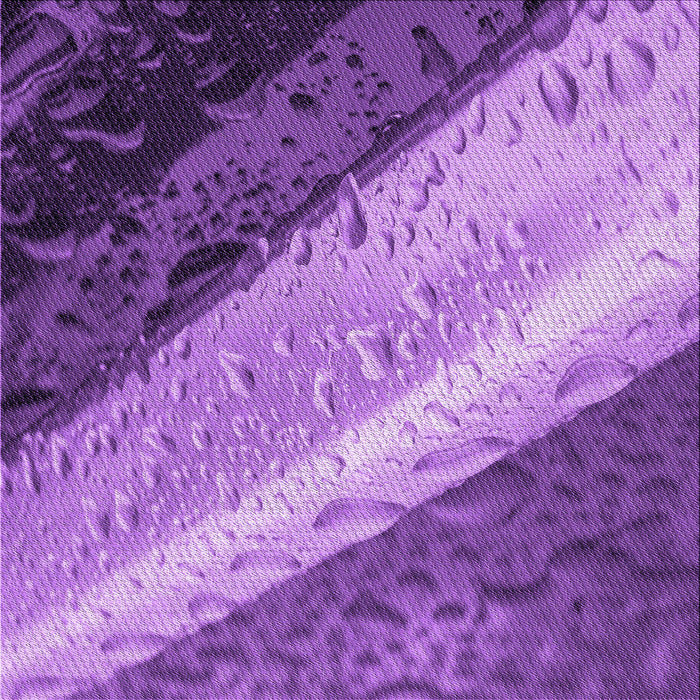 Round Machine Washable Transitional Purple Rug, wshpat3911pur