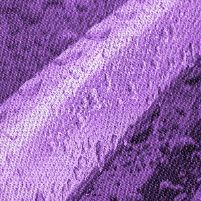 Machine Washable Transitional Purple Rug, wshpat3911pur