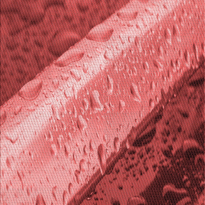 Machine Washable Transitional Red Rug, wshpat3911rd