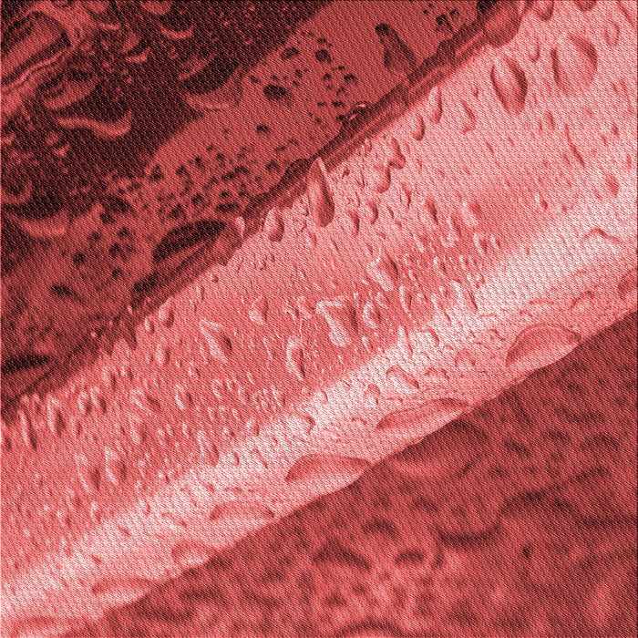 Round Machine Washable Transitional Red Rug, wshpat3911rd