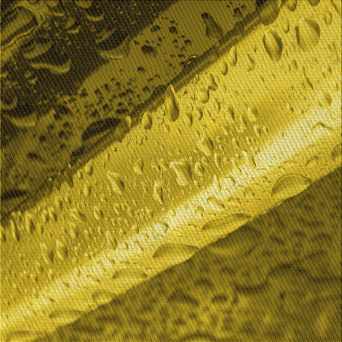 Round Machine Washable Transitional Dark Bronze Brown Rug, wshpat3911yw