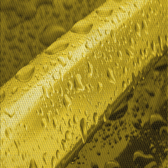 Patterned Dark Bronze Brown Rug, pat3911yw