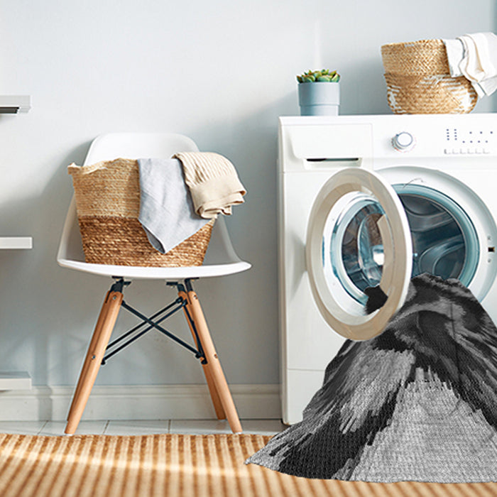 Machine Washable Transitional Charcoal Black Rug in a Washing Machine, wshpat3917gry