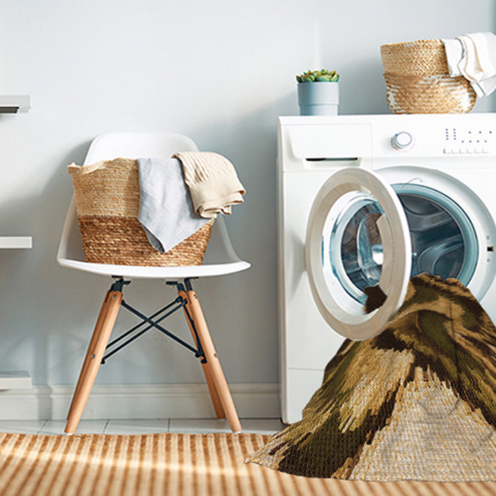 Machine Washable Transitional Orange Rug in a Washing Machine, wshpat3917org