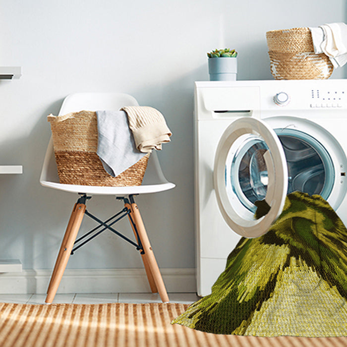 Machine Washable Transitional Chocolate Brown Rug in a Washing Machine, wshpat3917yw