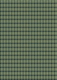 Machine Washable Transitional Army Green Rug, wshpat3930lblu