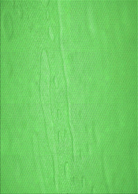 Machine Washable Transitional Neon Green Rug, wshpat3932grn