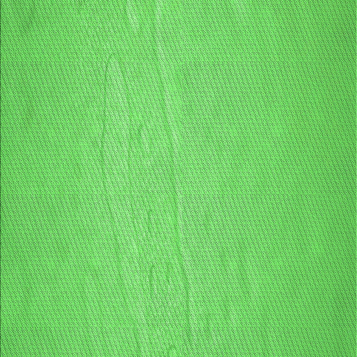 Machine Washable Transitional Neon Green Rug, wshpat3932grn