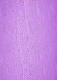 Machine Washable Transitional Violet Purple Rug, wshpat3932pur