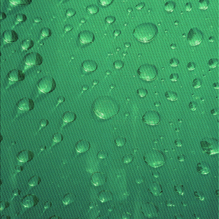 Machine Washable Transitional Forest Green Rug, wshpat3933grn