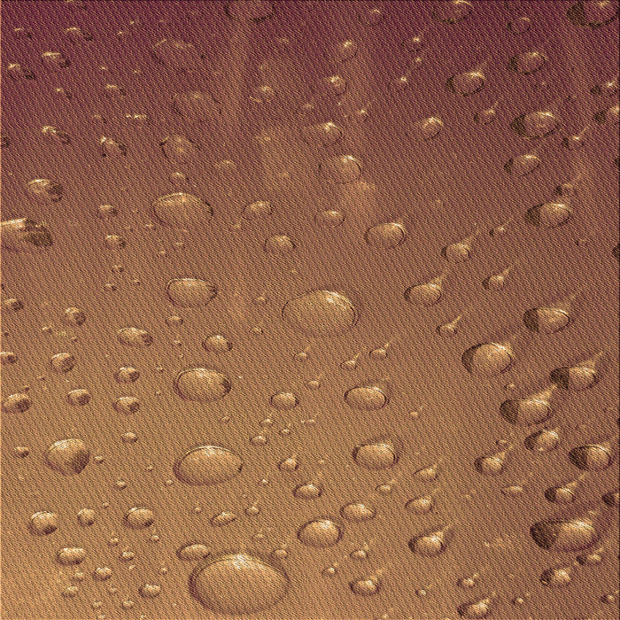 Round Machine Washable Transitional Orange Rug, wshpat3933org