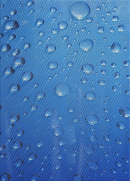 Patterned Blue Novelty Rug, pat3933