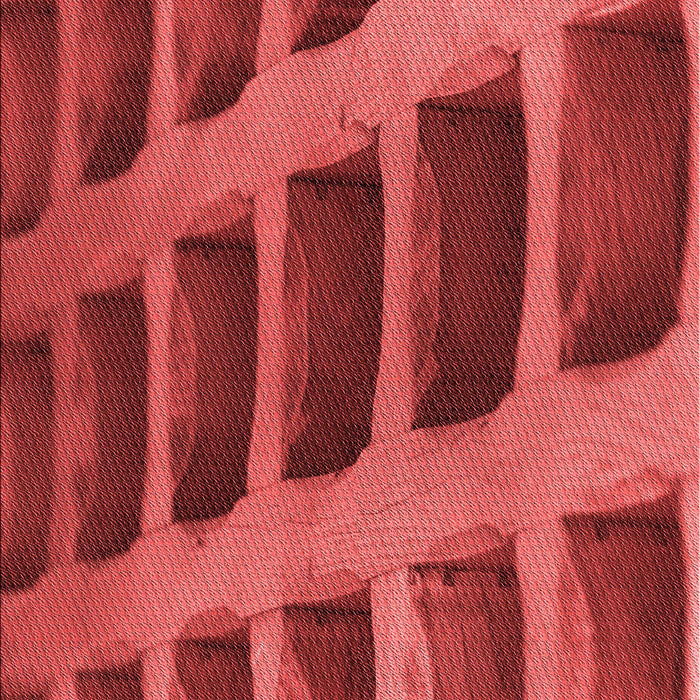 Patterned Orange Rug, pat3942rd