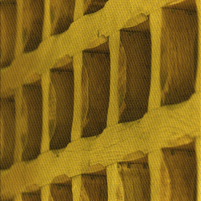 Machine Washable Transitional Dark Bronze Brown Rug, wshpat3942yw