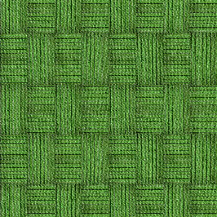 Machine Washable Transitional Apple Green Rug, wshpat3943grn