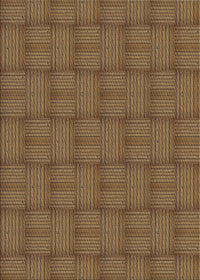 Machine Washable Transitional Bronze Brown Rug, wshpat3943