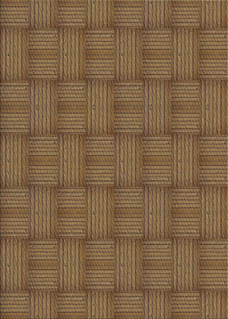 Machine Washable Transitional Bronze Brown Rug, wshpat3943