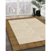 Patterned Vanilla Gold Rug in Family Room, pat3944brn