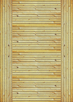Patterned Mustard Yellow Novelty Rug, pat3945