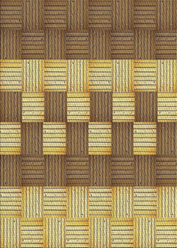 Machine Washable Transitional Saddle Brown Rug, wshpat3946