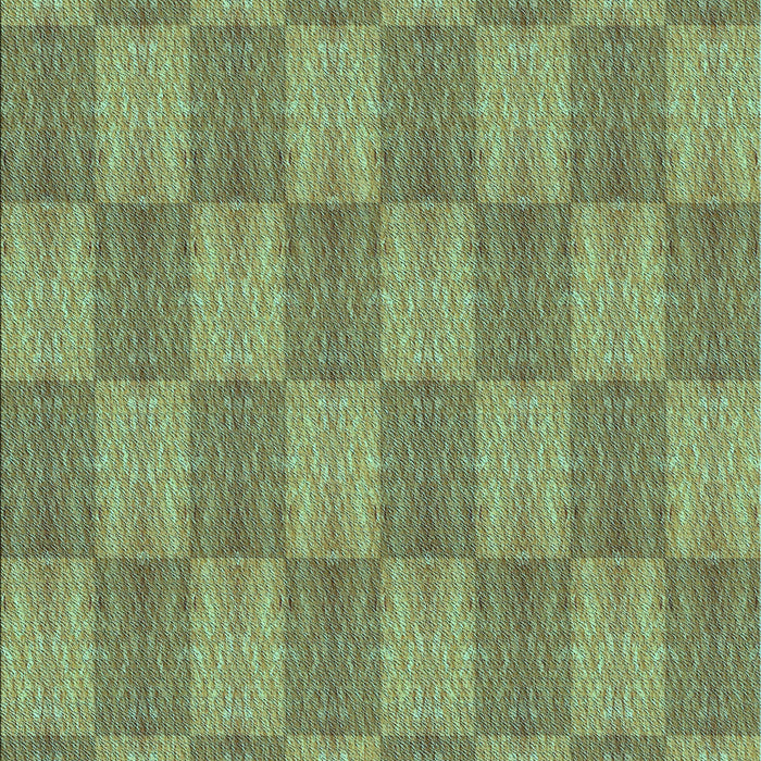 Machine Washable Transitional Fern Green Rug, wshpat3948lblu