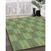 Patterned Fern Green Rug in Family Room, pat3948lblu