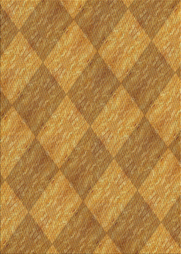 Patterned Orange Novelty Rug, pat3949