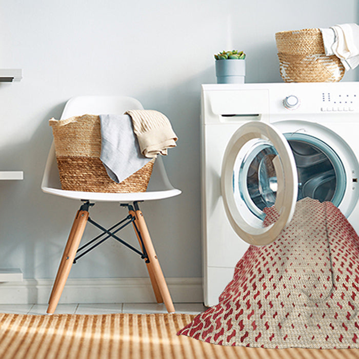Machine Washable Transitional Red Rug in a Washing Machine, wshpat395brn
