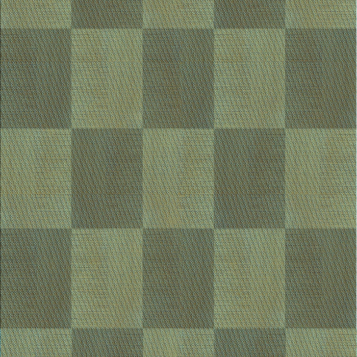 Machine Washable Transitional Green Rug, wshpat3951lblu