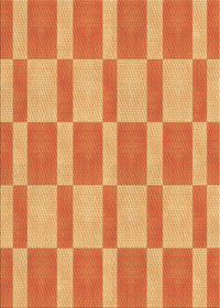 Machine Washable Transitional Orange Rug, wshpat3953org