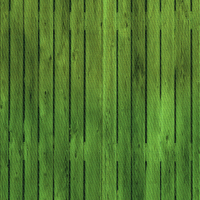 Machine Washable Transitional Apple Green Rug, wshpat3957grn