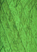 Patterned Dark Lime Green Rug, pat3958grn