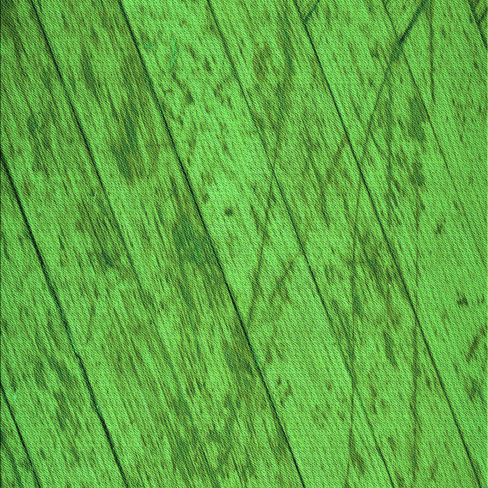 Patterned Dark Lime Green Rug, pat3958grn