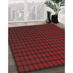 Patterned Brown Red Novelty Rug in Family Room, pat3961