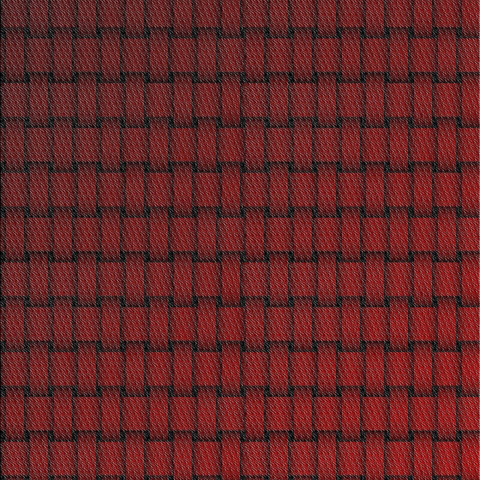 Patterned Brown Red Novelty Rug, pat3961