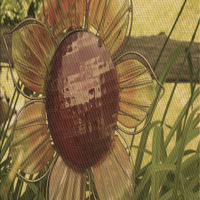 Patterned Caramel Brown Rug, pat3966brn